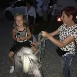 Letniskowe U Susla *