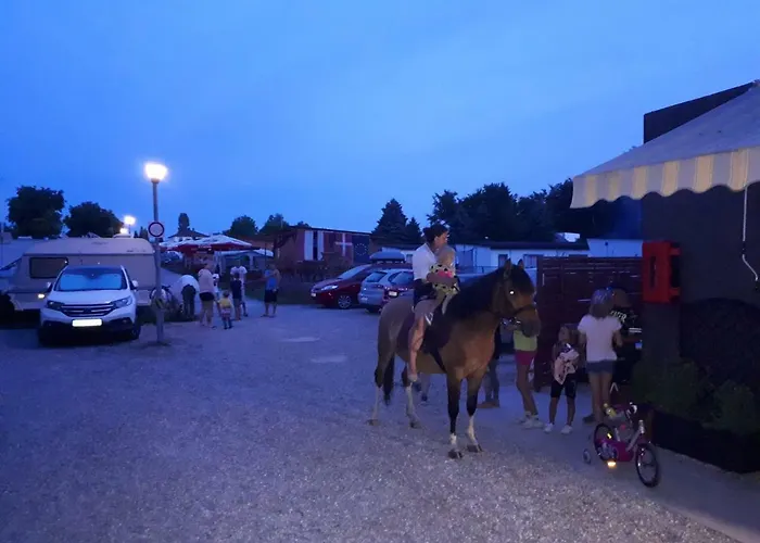 Letniskowe U Susła Sianożęty